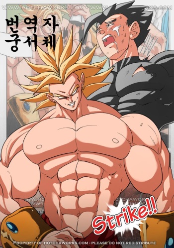 DBZ - Strike cover