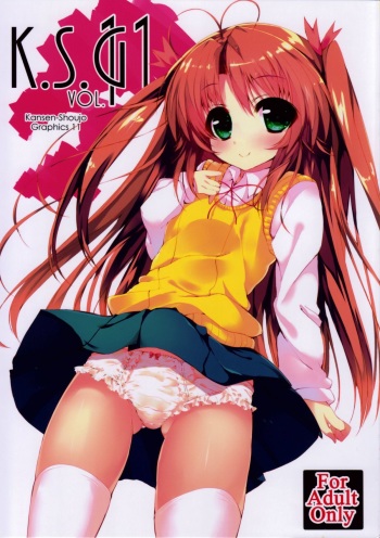 K.S.G Vol.11 cover