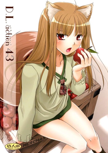 D.L. action 43 cover