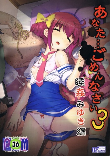 Anata...Gomennasai 3 Suikan Miyuki Hen cover