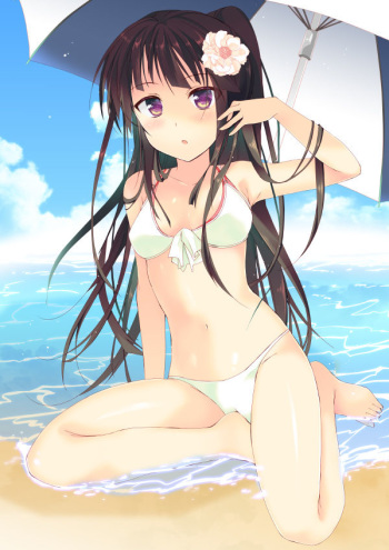 Log Horizon Pack cover