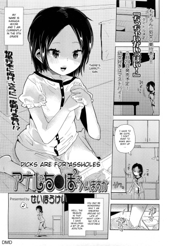 Anal ni Chinpo wa Hairimasu ka | Dicks are for Assholes cover