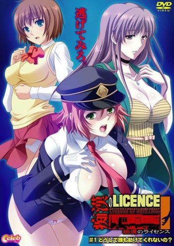 Chikan no Licence cover