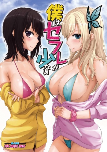 Boku wa Sefure ga Sukunai cover