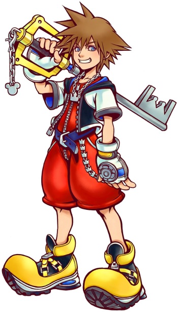 Sora cover