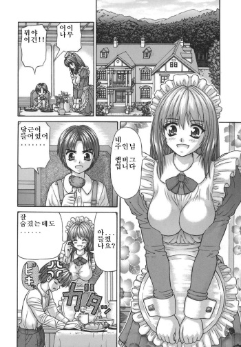 Gohoushi no Katachi cover