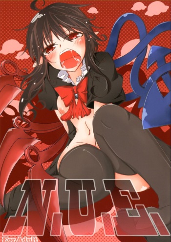 N.U.E. cover