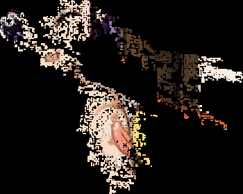 Loli Gif File VII cover