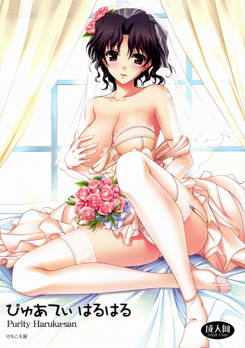 Purity Haruharu cover