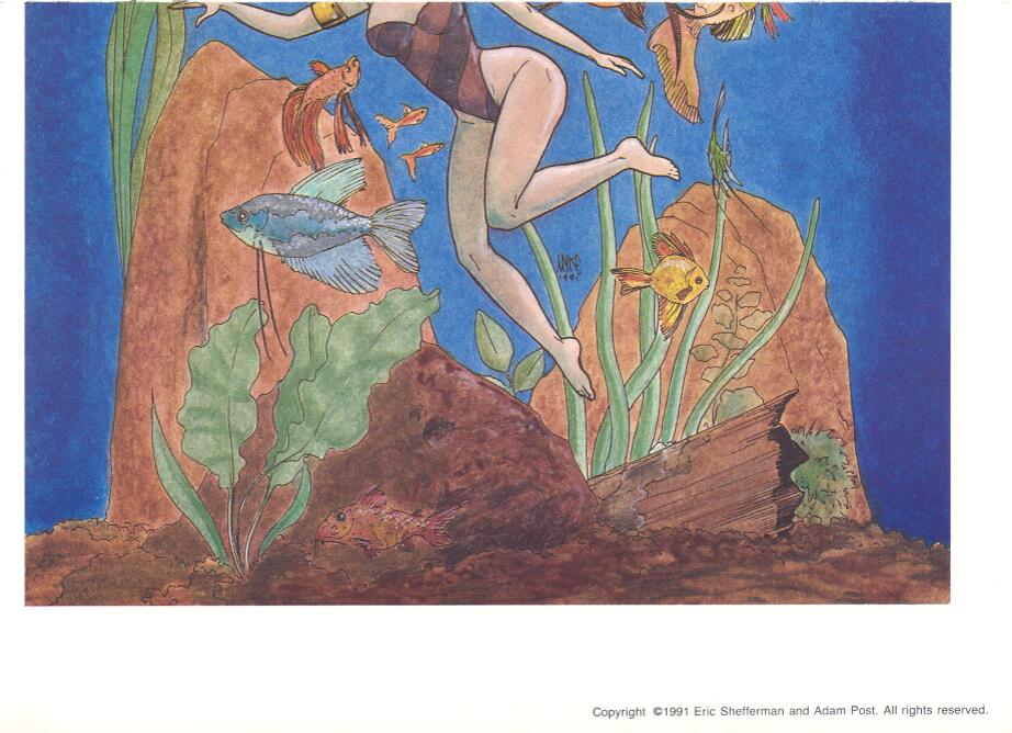 Bambi and friends 3 page 3 full