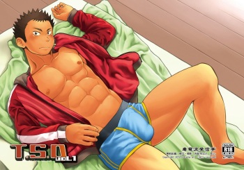T.S.D vol. 1 cover