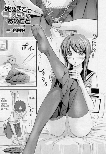 Shinu Made ni Shitai ano Koto cover