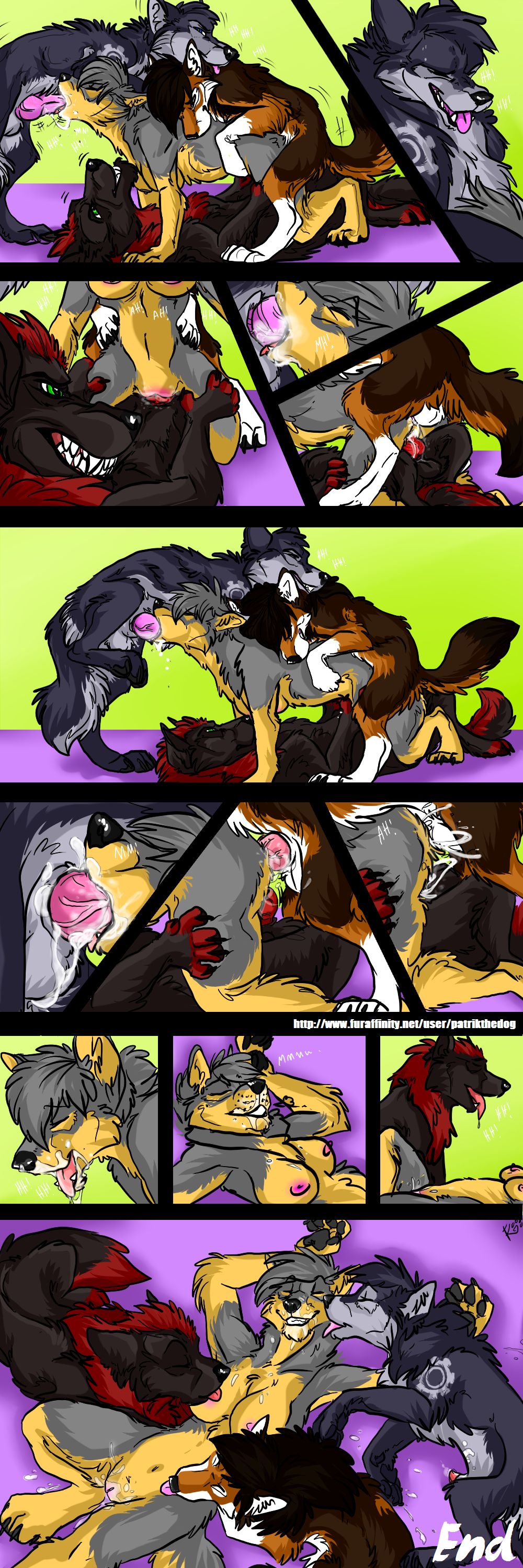 Lili Dog Volunteer page 6 full