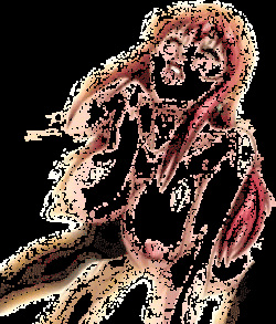 Animated Gifs  2