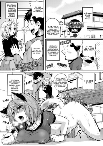 Nyanko na Hatsujouki cover