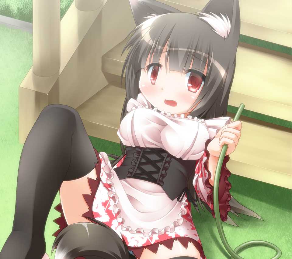 Mimitadori -Koremi-, Mimitadori -Koremi- Goyuutai Ken page 5 full