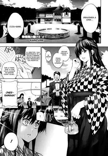 Ikenai Hatsujouki Ojou-sama!  - cover