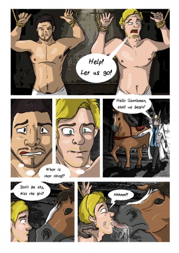 The Stallion and the Ass cover