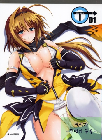 T-01 cover
