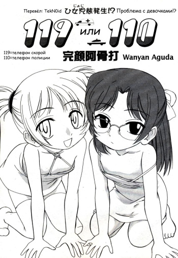 119 or 110 cover