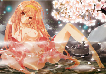 Bath Bathing Beauties cover