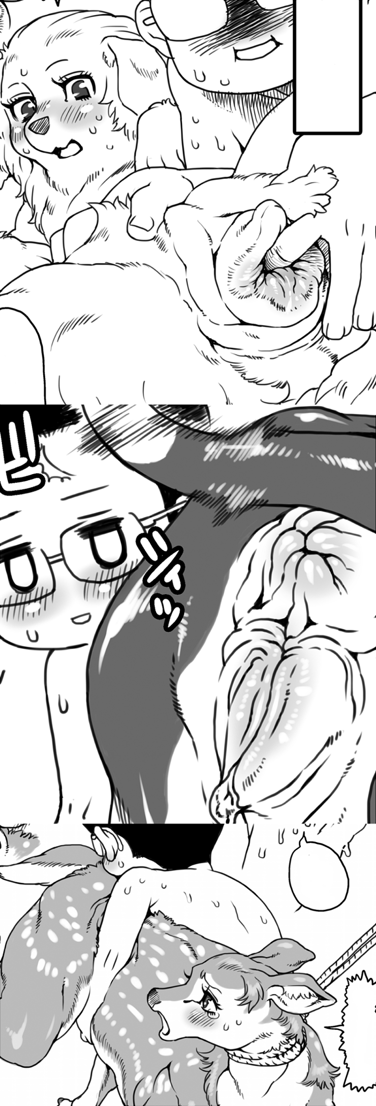 弱肉強姦 page 1 full