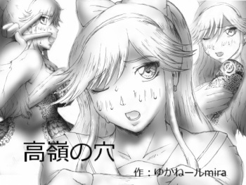 Takane no Ana cover