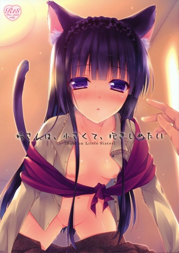 Nee-san wa, Chiisaku te, Dakisimetai cover