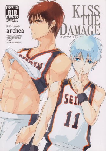 KISS THE DAMAGE cover
