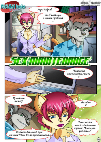 Sex Maintenance cover