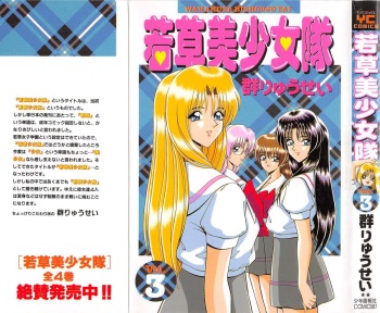 Wakakusa Bishoujotai vol.3 cover