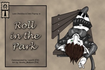 Roll In The Park cover