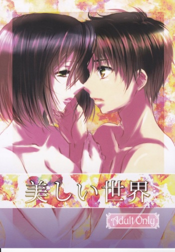 Utsukushii Sekai cover