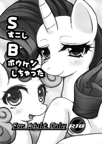 S Sukoshi B Bouken Shichatta cover