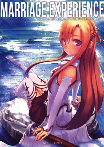 Marriage Experience cover