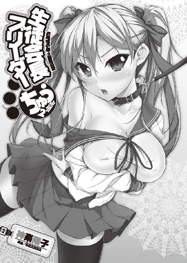 Seito Kaichou Burida Chuu Ojousama no Chou ☆ Shiiku Nikki page 3 full