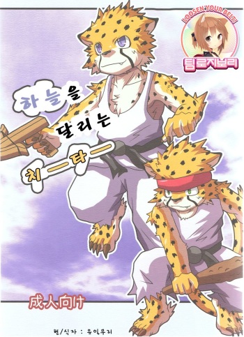 Sora o Kakeru Cheetah cover
