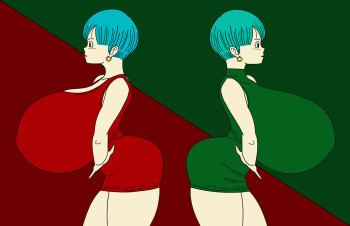 bulma DBZ cover