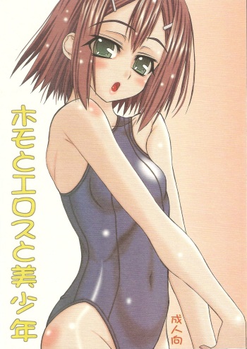 Homo to Eros to Bishounen cover