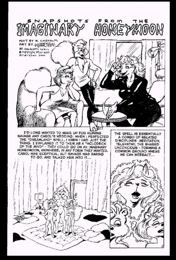 Snapshots from the Imaginary Honeymoon page 1 full