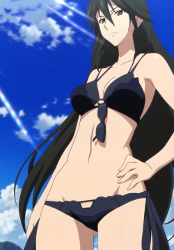Infinite Stratos - Orimura Chifuyu