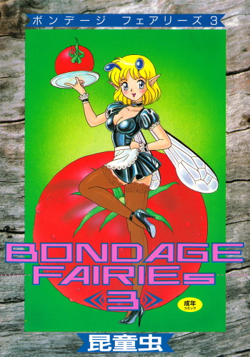 Bondage Fairies 3 cover
