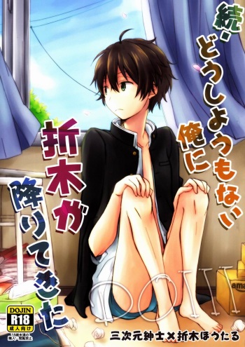 Zoku Dou Shiyou mo Nai Ore ni Oreki ga Orite kita cover