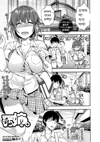 Muchi Ane. cover
