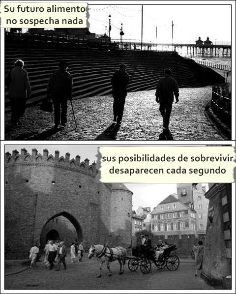 Proyecto Schwan  Capitulo 1: El Halcón page 5 full