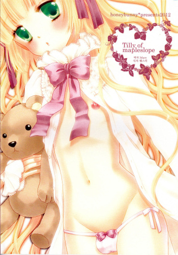 Tilly of mapleslope cover