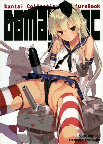 DAMAGEinc cover