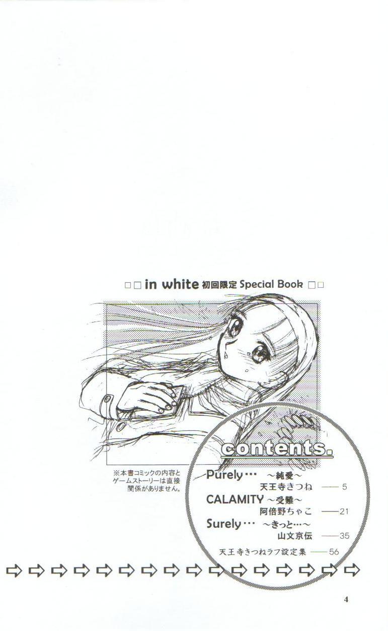 in white hokai Gentei～special book～ page 3 full