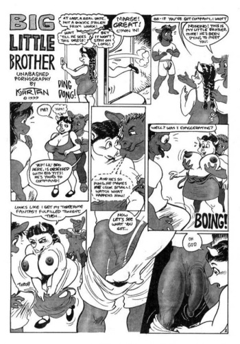 Big Little Brother cover