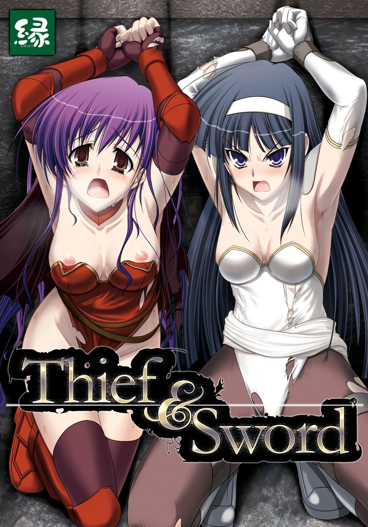 Thief &amp; Sword page 1 full